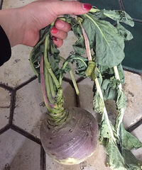 ���۸��ࡿ��ʶ�����