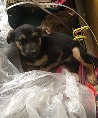 ����������������£������������ϵ�绰��