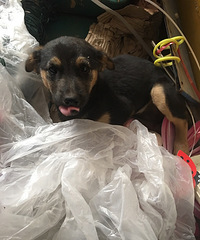 ����������������£������������ϵ�绰��