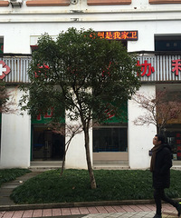 ���۸��᡿һ��û�����ҽԺ��ɶ����ӯ����