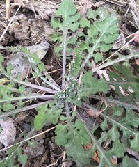 ���۸��᡿����С�ݵ����ֺ͹�Ч