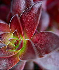 ��֪�˶����Ǻ�Ʒ�֣����Ѹ�֮���ҿ�������