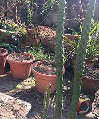 ���֮�����ʲô����