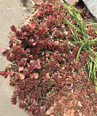 ������n���һ����...���Ӷ��໯��..