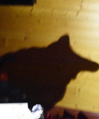 �������͹�����+����վ��һ�η���