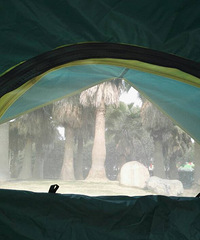 �������ճ�*1��+����ɽ��԰�������