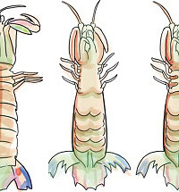 [̨��]��ֳ��Ϻ������Ȼ��Ҫ���յ�