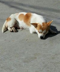 �������