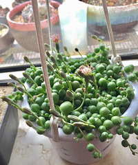 �����е�������ȥ�������һȦ�����ְ�