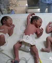 ̨��ϲ������̥С����