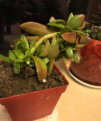 ̫�߶����ˡ���ô�졣���Լ�����