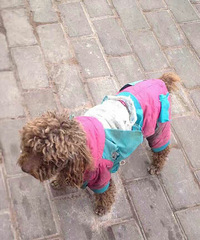 Ѱ�ҹ�����