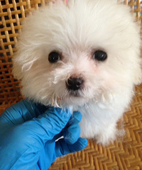 ������ƷС��׹󣬻�����ۣ�Ʒ���Լ�����