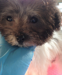 ������ƷС��׹󣬻�����ۣ�Ʒ���Լ�����