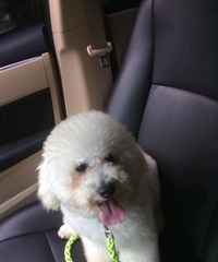 ����˵���ҳ�ȥ��