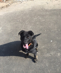 ����ʲô��