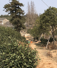 91�걾���� ������