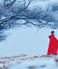 ���۸��᡿����������ѩ����