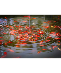 ���˵˵��̩����԰��ô����δ���з�չǰ����