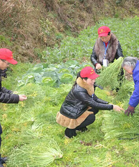 ��������幤��