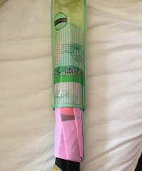 19¥��ɡ����ϲ��