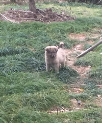 ����Ҫ����С������ ���彡��  �������