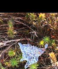 ���۸��᡿��ĩϲ��լ���ﻹ�ǳ�ȥ�ˣ�