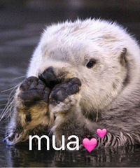 С�������г� ���������ȥ�˳�������