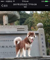 ����ɢ������Ұ�æ�����£����Ѻܼ���