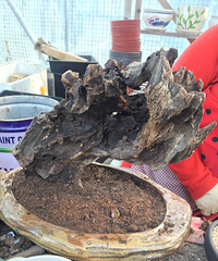 һ��ɽ�ϼ�����ľͷ�������������ˣ�һ����