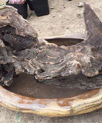 һ��ɽ�ϼ�����ľͷ�������������ˣ�һ����