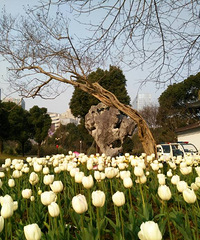 ����ֵ�һ�׷��������Ľ����׸���Ҫ��Ҫ���ˣ�