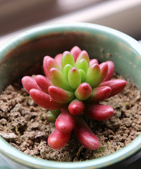 �ҵĶ�����Ů�� ��֮�� �׼�֮��......