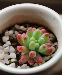 �ҵĶ�����Ů�� ��֮�� �׼�֮��......