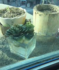 ׼��diy�����ˣ���ʣ��Ҭ�ʿǣ���Ҫ��é