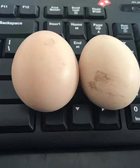 ���۸��᡿��ϲ��������ô�ţ�