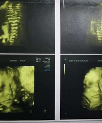 ��������ˮ�ݱ��������ռǡ����ֵ�����