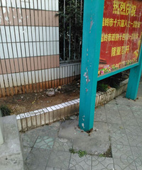 [����]����������ǣ����ĸ��ܵģ�