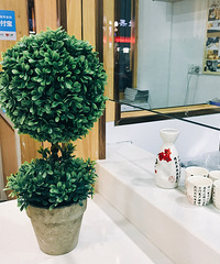 ʼ����ֵ ����Ʒ�� С���������Ů��