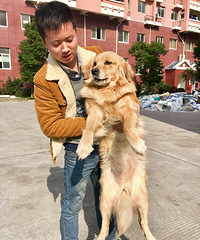 �������£��Լ��������ë��ʼ���飬������