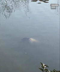 �����ϡ�����һ���ﾪ�ָ�ʬ�������Ӻ�����Ů��