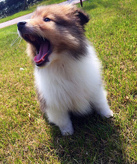 ����Kϲ �������ˣ�¶һ�£�