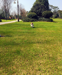 ����Kϲ �������ˣ�¶һ�£�