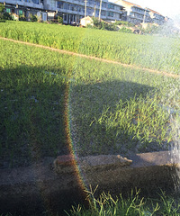 ��Ȼ������ǰ����׵� ���μ�����