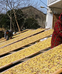 ���������ӽ�