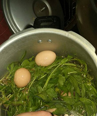 ��䴫˵�����ֲ��յĲ�Ҷ�����Կ�����