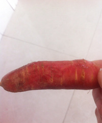 ���ڵĿƼ����Ƿ�����ܲ�Ҳ����ױ