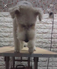 �ٺ������Ѱ��æ��