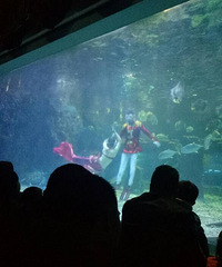 ���ڿ�����������