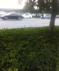 �����ϡ�����һ�������β����¹ʣ��������ⰲȫ��һ��